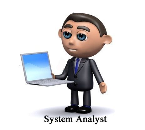 System Analyst
