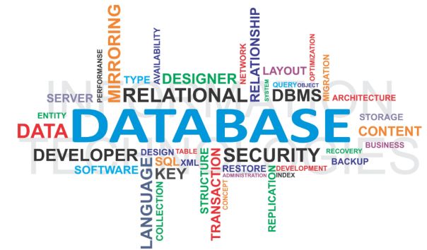 Database Administrator (DBA)